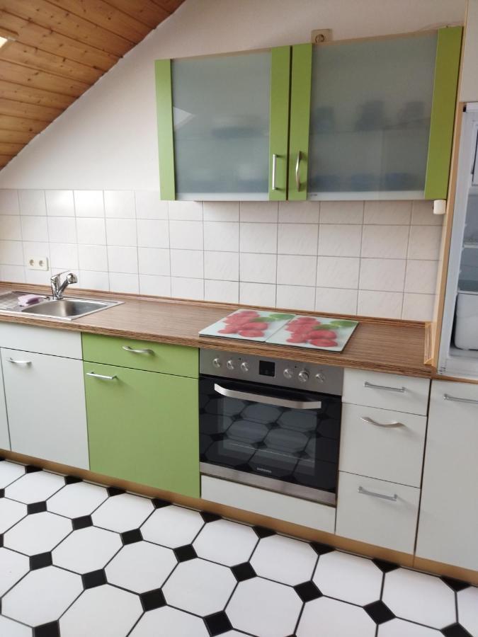 Aussergewoehnliche Atelierferienwohnung Mit Balkon An Der Donau Winzer Extérieur photo