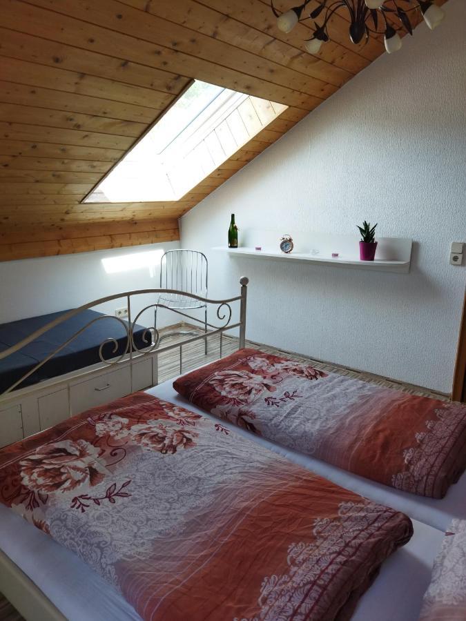 Aussergewoehnliche Atelierferienwohnung Mit Balkon An Der Donau Winzer Extérieur photo