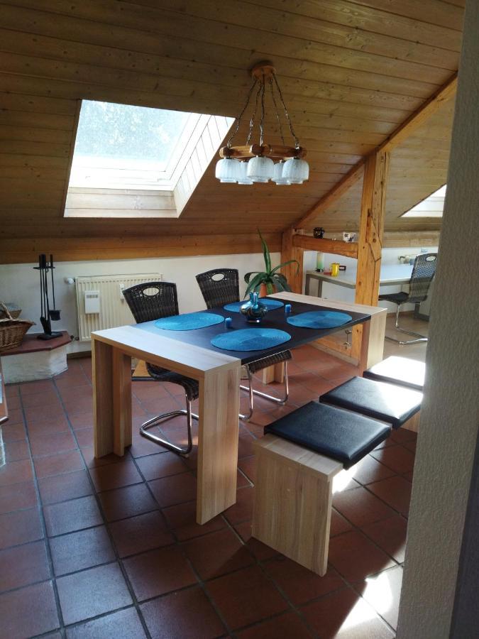 Aussergewoehnliche Atelierferienwohnung Mit Balkon An Der Donau Winzer Extérieur photo