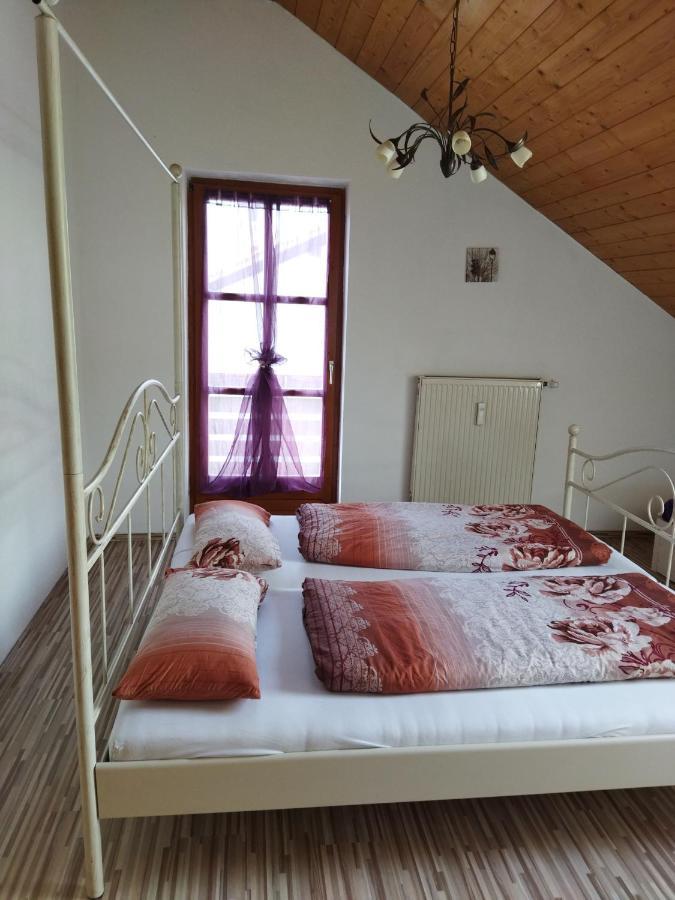 Aussergewoehnliche Atelierferienwohnung Mit Balkon An Der Donau Winzer Extérieur photo