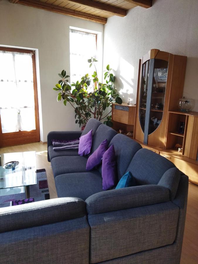 Aussergewoehnliche Atelierferienwohnung Mit Balkon An Der Donau Winzer Extérieur photo