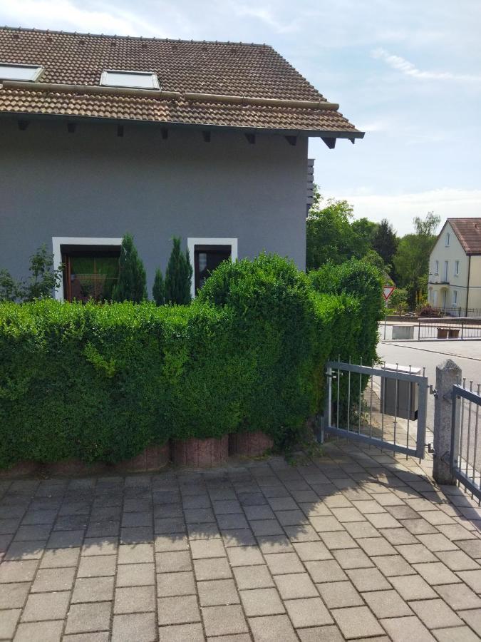 Aussergewoehnliche Atelierferienwohnung Mit Balkon An Der Donau Winzer Extérieur photo