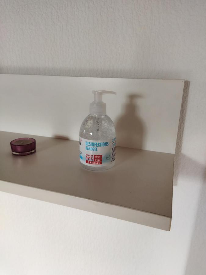 Aussergewoehnliche Atelierferienwohnung Mit Balkon An Der Donau Winzer Extérieur photo