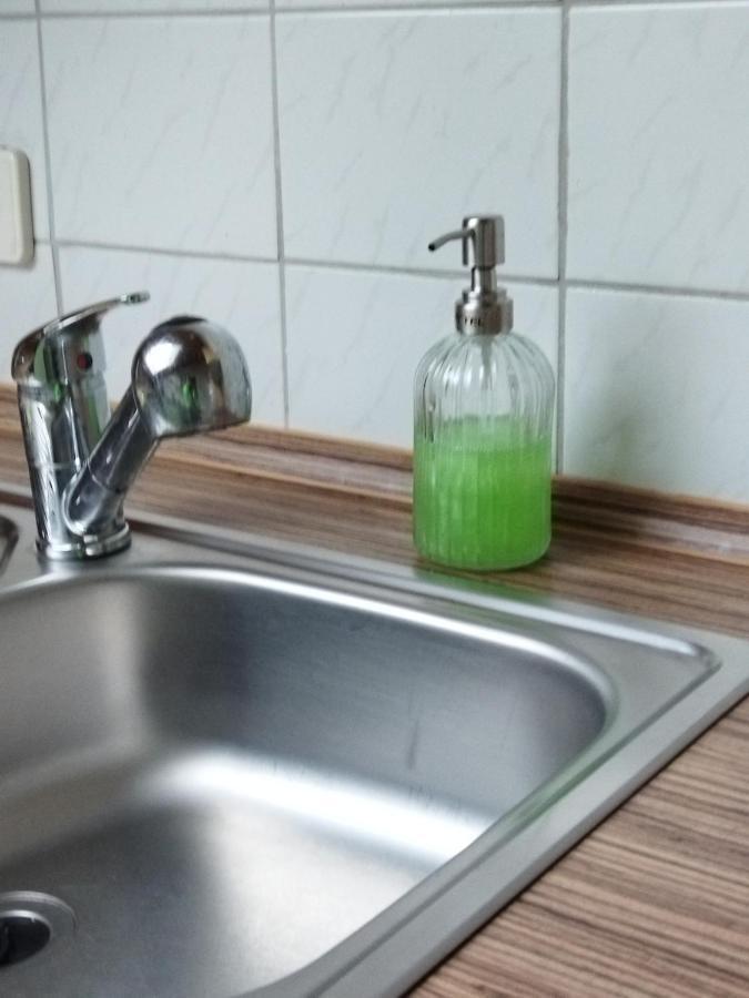 Aussergewoehnliche Atelierferienwohnung Mit Balkon An Der Donau Winzer Extérieur photo