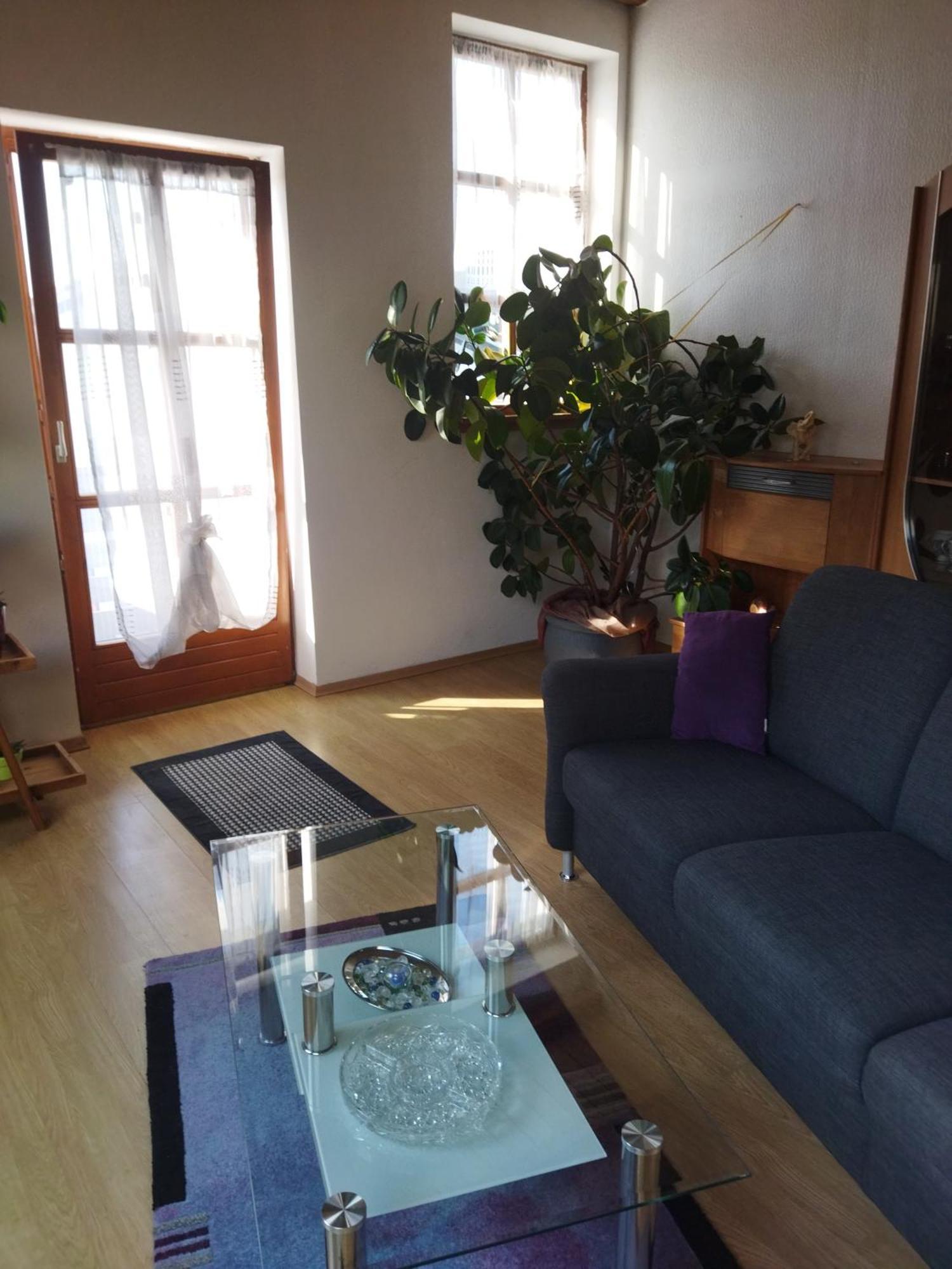 Aussergewoehnliche Atelierferienwohnung Mit Balkon An Der Donau Winzer Extérieur photo
