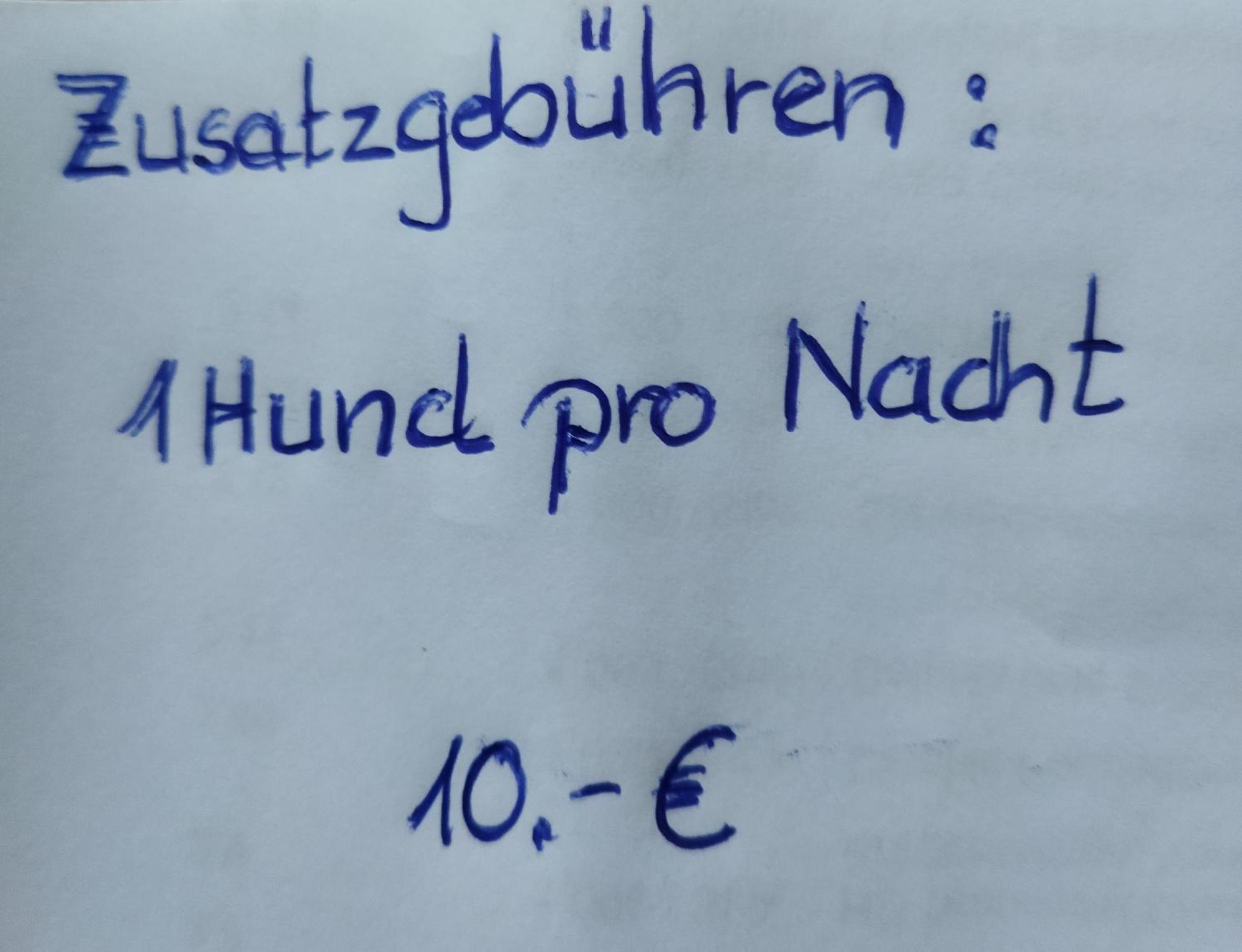 Aussergewoehnliche Atelierferienwohnung Mit Balkon An Der Donau Winzer Extérieur photo
